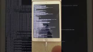 Hacking an iPad checkra1n w verbose boot [upl. by Henriette]