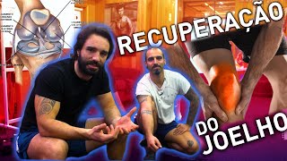 Fortalecimento e Recuperação do JOELHO  Treino Completo [upl. by Chap134]