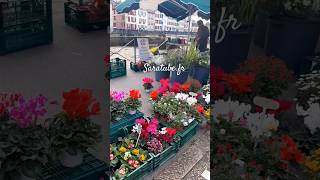 Bayonne pays Basque le marché bayonne nature asmr rivière riviere [upl. by Ynaffik]