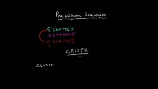 Palindromic Sequences [upl. by Lowenstern]