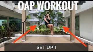 1 arm pull up workout [upl. by Laurent]