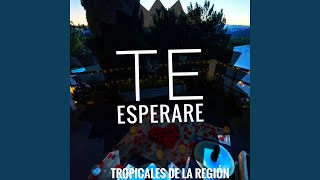 Te Esperare Cover [upl. by Einnad]