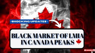 Shocking updates  Black market of LMIA in Canada peaks [upl. by Inaja579]