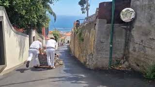 Madeira FUNCHAL TOBOGGAN RIDE in Monte MADEIRA [upl. by Henn426]