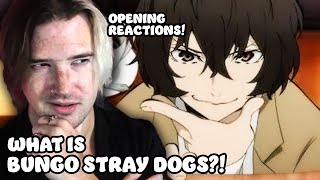 First Time Reacting to Bungo Stray Dogs Openings  quotWhat A Cute Castquot [upl. by Vivianne]