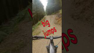 Llandegla forest new mtb jump line shorts freeride [upl. by Fae]