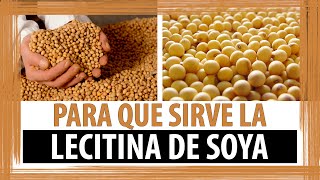 PARA QUE SIRVE LA LECITINA DE SOYA  BENEFICIOS DE LA LECITINA DE SOYA [upl. by Ailahk]