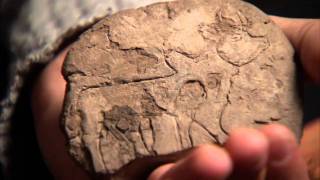 Treasures of the UCLA Library Cuneiform Tablets Part 3 of 5 [upl. by Edward]