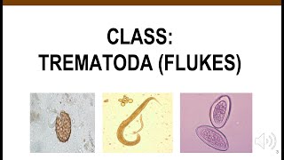 Trematodes [upl. by Bock]