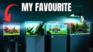 AMAZING AQUARIUM STORE TOUR Aquascape Inspiration [upl. by Secnarfyram]