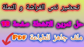 تحضير نص الفراشة و النملة صفحة 18 مع حل تمرين الانشطة صفحة 13💥 لغة عربية الثالثة ابتدائي [upl. by Alwitt129]