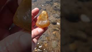 Willamette river Another agate gem stone 👍🔥👍 [upl. by Pepillo]