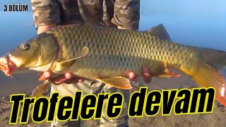 Tekirdağ Hanoğlu Barajında 7 Gün  3BÖLÜM  carp camp fishing sazan sazanavı nature [upl. by Joerg]