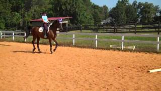 Randi Thompson Trot Does your horse root at the reins or pull you out of the saddle [upl. by Eirb]