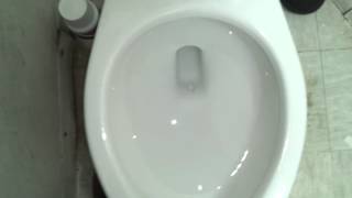 Bathroom Tour Gerber Toilet Country Cupboard Lynnville Indiana [upl. by Neural]