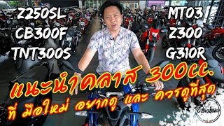 พาชม Bigbike 300cc ที่ มือใหม่ อยากดู และ ควรดูที่สุด  Z250SL G310R CB300f MT03 Z300 TNT300 [upl. by Sewole]