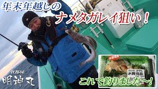 年末高級魚のナメタガレイを？？で狙え！ [upl. by Columbus]