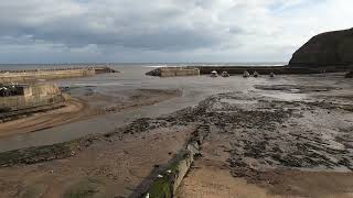 Staithes harbour Scarborough North Yorkshire England [upl. by Ahsimed]