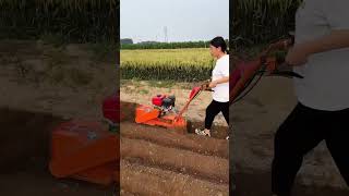 Trencher tiller ditching and soiling machine life must be tough once agricultural machinery [upl. by Garret]