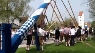 Ottendichl Maibaum aufstellen in Ottendichl 2013 [upl. by Elehcir]