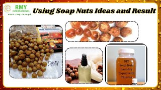 Soap Nuts Really Work We Put them To The Taste amp Uses [upl. by Astrix161]