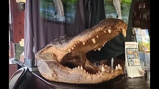 Everglades City Rod and Gun Club with Restaurant and Room Tour [upl. by Ettennyl761]