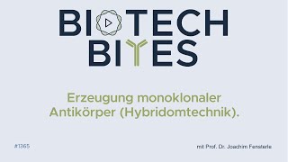 BiotechBites  Erzeugung monoklonaler Antikörer Hybridomtechnik [upl. by Giglio824]