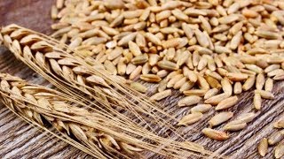 5 Incredible Health Benefits Of Rye [upl. by Ruprecht37]