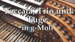 Toccata Trio und Fuge in gMoll improvisiert Deutschordensmünster Heilbronn  Gregor Engelhardt [upl. by Laden241]