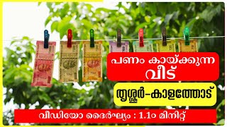 പണം കായ്‌ക്കുന്ന വീട്  മികച്ച വരുമാനം  തൃശൂർ കാളത്തോട് [upl. by Zedekiah]