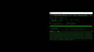 dual screen debugging in dos using dosboxx [upl. by Lolly]