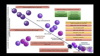 Sesión 3 Trombocitopenia asociada a MDS [upl. by Hazaki426]