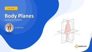 Introduction to Anatomy  BODY PLANES  Medical Students [upl. by Ymereg]