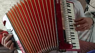 HOHNER Arietta 2 II M Sound Test [upl. by Ttayh]