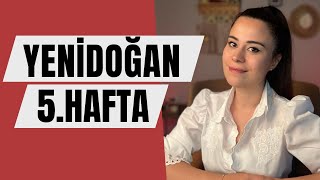 Yenidoğan 5 Hafta  5 Haftalık Bebek Gelişimi [upl. by Euqinay]