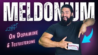 How Meldonium affects testosterone and SHBG [upl. by Harutak]