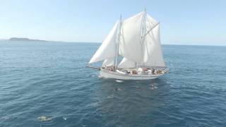 Windborne Sailing Charters New Zealand [upl. by Ummersen656]