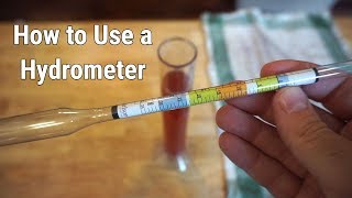 How to Use a Hydrometer for Winemaking [upl. by Nalyk]