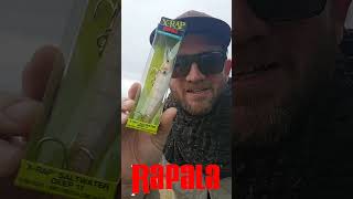 Augusts Tackle Club Tackle Box fishing unboxing barra jack [upl. by Lhadnek]