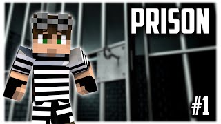 Siamo in Prigione  MINECRAFT PRISON [upl. by Dammahum]