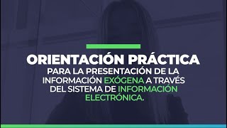 ¿Cómo se presenta la información exógena a través del Sistema de Información Electrónica [upl. by Kamaria683]