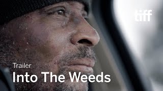 INTO THE WEEDS Trailer  TIFF 2022 [upl. by Aniarrol338]