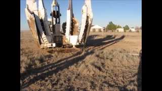 Mature Pecan Tree Transplanting  Hole Preparation [upl. by Kenji]