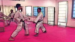 Yakusoku Kumite Pinan Yondan Karate Shitoryu Jose Luis Amor [upl. by Derte]