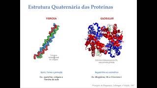 Aula 6Bioquímica proteínas Parte 5 [upl. by Lawton]