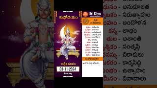 రాశి ఫలాలు  Daily Panchangam and Rasi Phalalu Telugu  3rd November 2024  Sri Diya Telugu [upl. by Ganny]