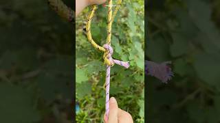 How to connect two ropes in these lovely ways knot rope tricks useful diy tips shorts [upl. by Dwaine859]