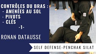 CONTRÔLES DU BRAS  AMENEES AU SOL  PIVOTS  CLES 1PENCHAK SILAT – SELF DEFENSE [upl. by Ingaberg104]