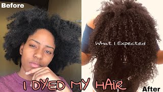 I IMPULSIVELY DYED MY HAIR WITHOUTBLEACH ll DARK AND LOVELY [upl. by Abita]