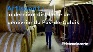 La dernière distillerie de genévrier du PasdeCalais  Météo à la carte [upl. by Glynias]